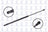 FCS 86516 Hatch Lift Support - Rear
