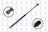 FCS 86518 Hatch Lift Support