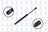 FCS 86563 Trunk Lid Lift Support