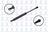 FCS 86592 Trunk Lid Lift Support - Rear