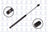FCS 86611 Back Glass Lift Support