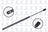 FCS 86613 Back Glass Lift Support