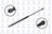 FCS 86614 Back Glass Lift Support