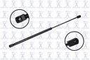 FCS 86615 Back Glass Lift Support