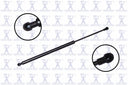 FCS 86616 Back Glass Lift Support