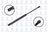 FCS 86628 Trunk Lid Lift Support
