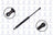 FCS 86654 Trunk Lid Lift Support - Rear