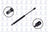 FCS 86672 Trunk Lid Lift Support - Rear
