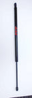 FCS 86681 Liftgate Lift Support