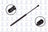 FCS 86683 Liftgate Lift Support