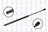 FCS 86876 Liftgate Lift Support