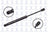 FCS 87006 Trunk Lid Lift Support - Rear
