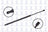 FCS 87039 Liftgate Lift Support
