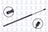 FCS 87040 Liftgate Lift Support