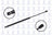FCS 87047 Liftgate Lift Support