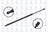 FCS 87061 Liftgate Lift Support