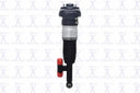 FCS 92024 Air Suspension Strut - Rear Right