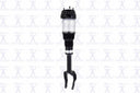 FCS 99061 Air Suspension Strut - Front Right