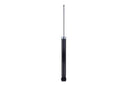 FCS DT348089 Suspension Shock Absorber - Rear