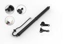 FCS E89035L Liftgate Lift Support - Rear Left