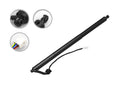 FCS E89081R Liftgate Lift Support - Rear Right