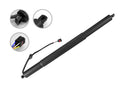 FCS E89097 Liftgate Lift Support - Rear
