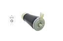 FCS Q4036 Air Suspension Spring - Rear