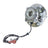 FAG 102067 Wheel Bearing and Hub Assembly - Rear