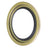 FAG SS3173 Wheel Seal - Front