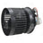 Four Seasons 75023 HVAC Blower Motor - Front