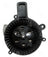 Four Seasons 76977 HVAC Blower Motor - Rear