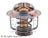 Facet 7.8845 Engine Coolant Thermostat