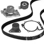 Metelli KP1019-1 Engine Timing Belt Kit with Water Pump