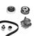 Metelli KP731-1 Engine Timing Belt Kit with Water Pump