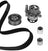 Metelli KP980-1 Engine Timing Belt Kit with Water Pump