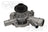 Metelli PA899 Engine Water Pump