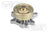 Metelli PA919 Engine Water Pump