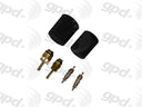 Global Parts 1311569 A/C System Valve Core and Cap Kit