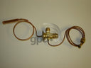 Global Parts 3411244 A/C Expansion Valve