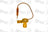 Global Parts 3411819 A/C Expansion Valve - Rear