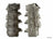 Genuine 1120100530 Engine Valve Cover - Left