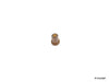 Genuine 1239970381 Emblem Grommet