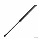 Genuine 2207500136 Trunk Lid Lift Support - Left