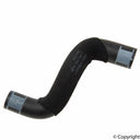 Genuine 4F0121109T Engine Coolant Reservoir Hose - Lower