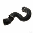 Genuine 7L8122101D Radiator Coolant Hose - Upper - Main Radiator