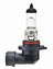 Hella H12 Fog Light Bulb - Front