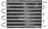 Hayden 405 Automatic Transmission Oil Cooler