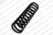 Lesjofors 4056853 Coil Spring - Front