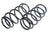 Lesjofors 4149100 Coil Spring - Front
