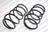 Lesjofors 4162006 Coil Spring - Front